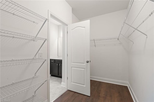 walk in closet featuring dark hardwood / wood-style flooring