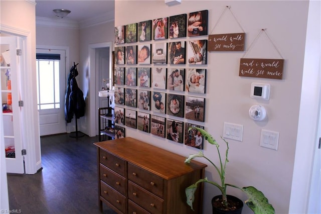 hall featuring ornamental molding and dark wood finished floors