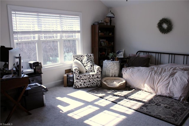 carpeted bedroom with lofted ceiling, multiple windows, and baseboards