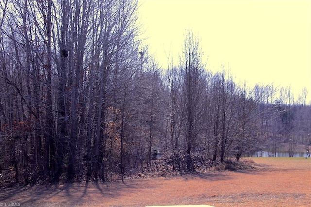 view of local wilderness featuring a water view