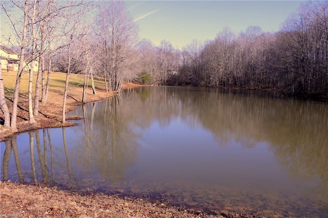 view of water feature