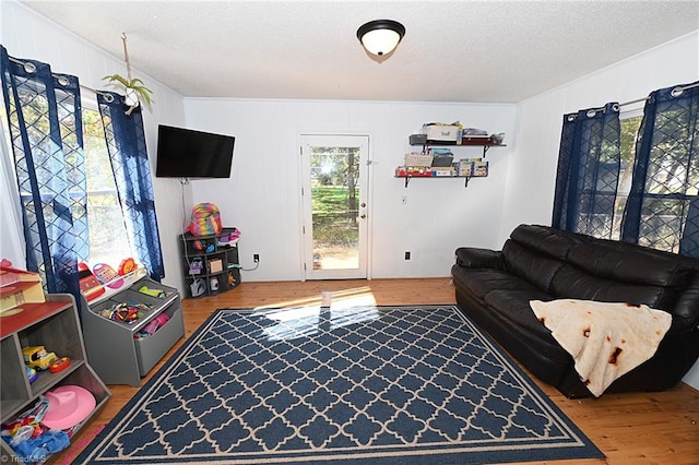 living room with a textured ceiling and hardwood / wood-style flooring