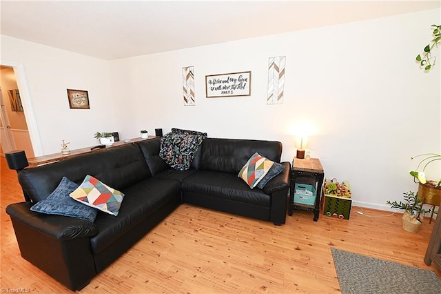 living room with light hardwood / wood-style flooring