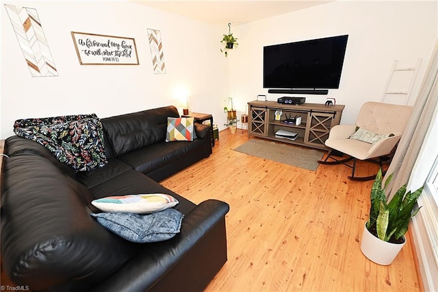 living room featuring wood-type flooring