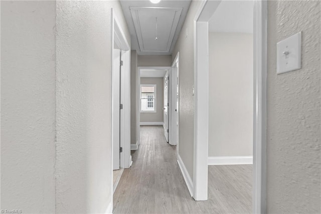 corridor with attic access, a textured wall, light wood-style floors, and baseboards