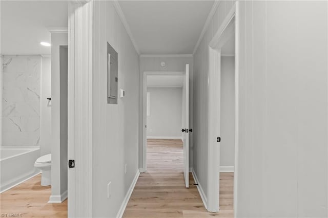 corridor featuring crown molding and light hardwood / wood-style flooring