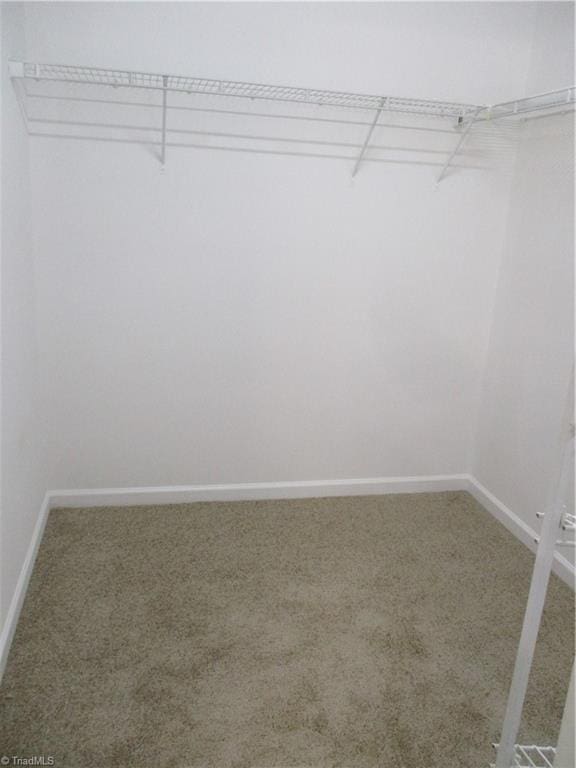 917 Avalon Acres Ct, High Point, NC 27265 - spacious closet featuring carpet flooring