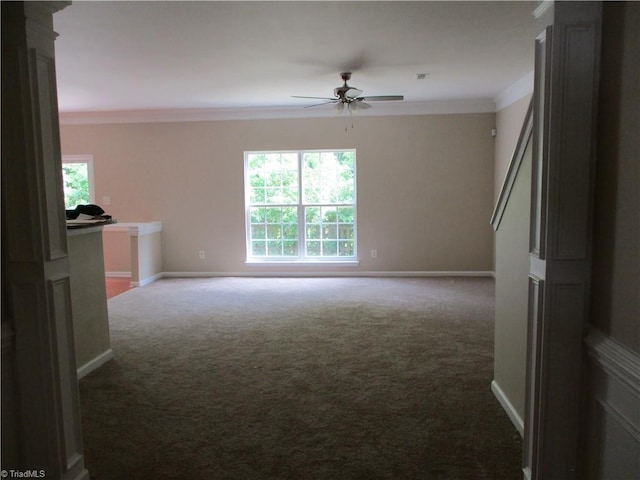 917 Avalon Acres Ct, High Point, NC 27265 - spare room with a ceiling fan, healthy amount of natural light, ornamental molding, carpet flooring, and baseboards