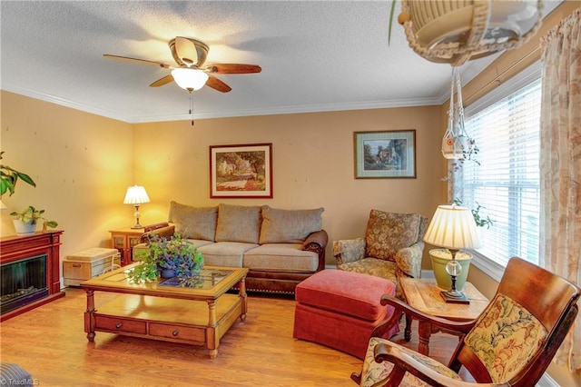 living room with a textured ceiling, light wood-type flooring, ceiling fan, and crown molding