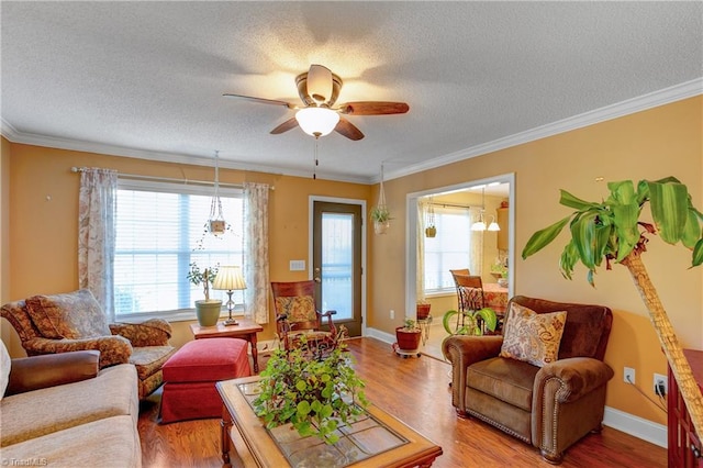 living room featuring hardwood / wood-style flooring, ceiling fan, ornamental molding, and a textured ceiling