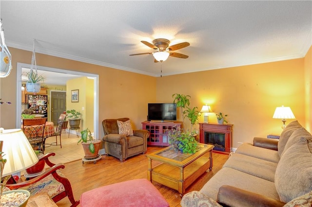 living room with crown molding, light hardwood / wood-style flooring, and ceiling fan