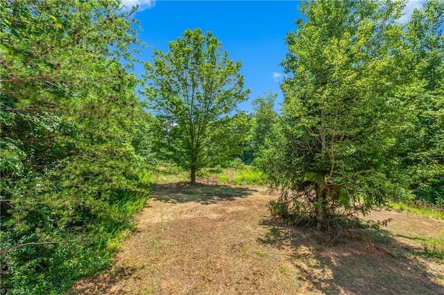 411 Motif Ln, Winston-Salem, NC 27107 - view of local wilderness