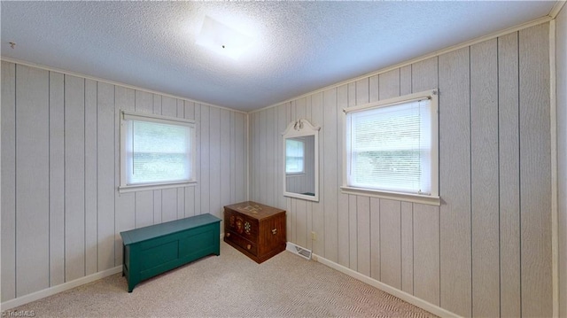 4211 Village Dr, Trinity, NC 27370 - carpeted spare room featuring a textured ceiling, baseboards, and wood walls
