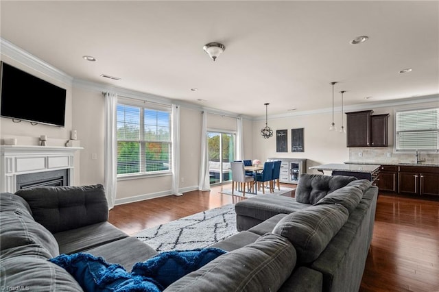 living room with dark hardwood / wood-style floors, crown molding, and sink