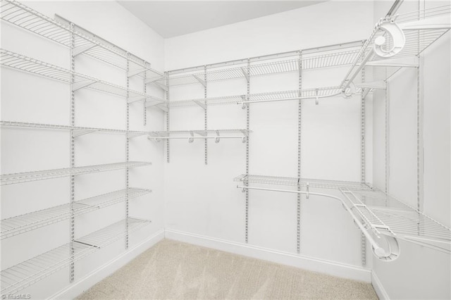 6924 Langdon Village Ct, Clemmons, NC 27012 - walk in closet featuring carpet flooring