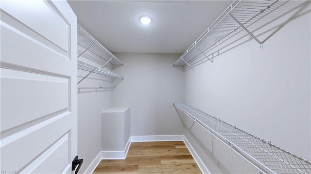 walk in closet featuring light hardwood / wood-style floors