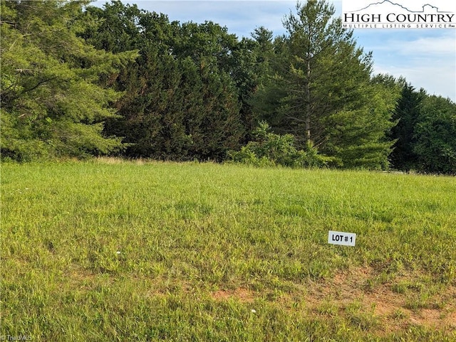 LOT1 River Creek Dr, Sparta, NC 28675