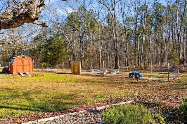 view of yard with a storage shed