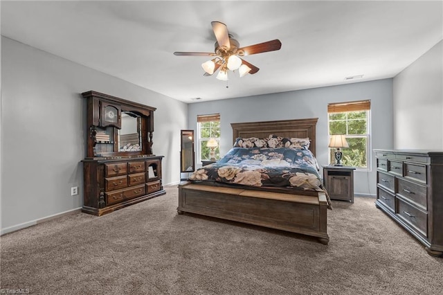 119 Tadworth Ct, Mebane, NC 27302 - bedroom with carpet floors, multiple windows, and a ceiling fan