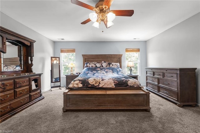 119 Tadworth Ct, Mebane, NC 27302 - carpeted bedroom with multiple windows and ceiling fan