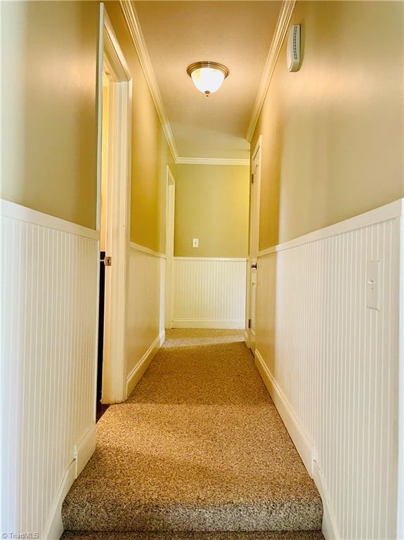 corridor with wainscoting, ornamental molding, and carpet flooring