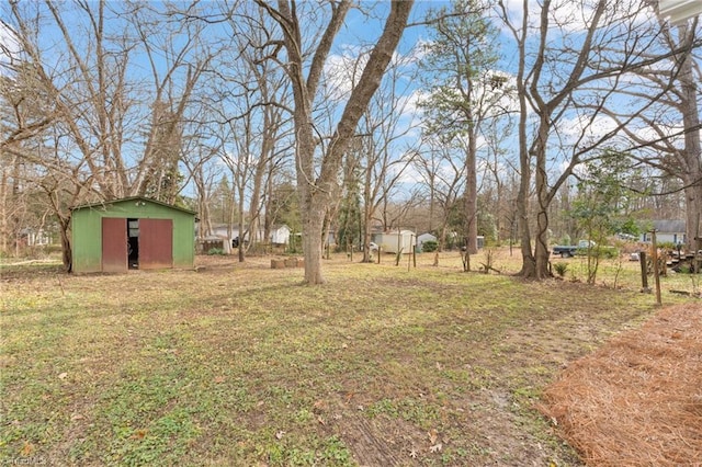 view of yard with a storage shed