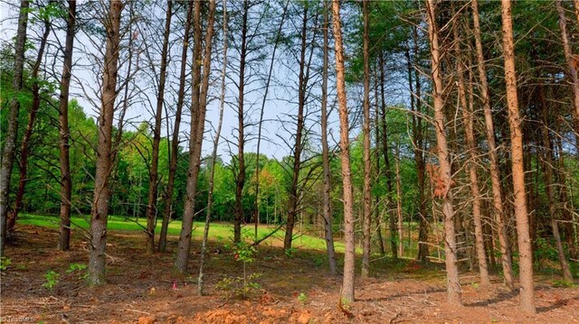 7 Mountain View Rd, King, NC 27021