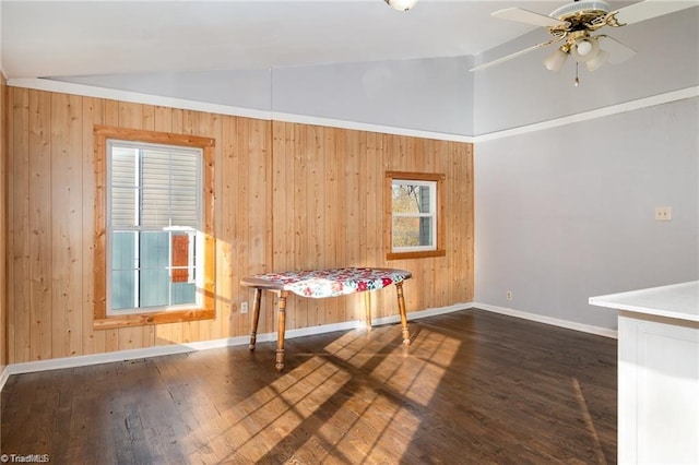 interior space featuring a wealth of natural light, ceiling fan, lofted ceiling, and dark wood-type flooring