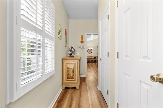 hallway with a textured ceiling and light hardwood / wood-style flooring