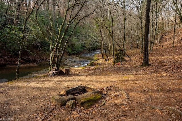 view of yard featuring a wooded view