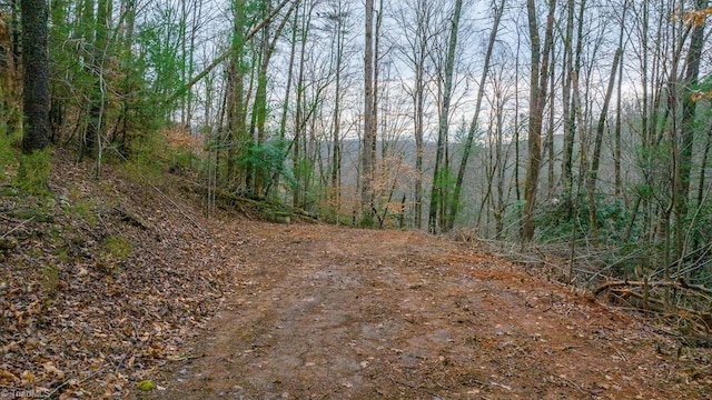 view of landscape with a wooded view