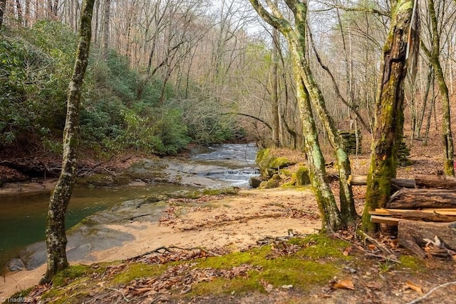 water view with a forest view