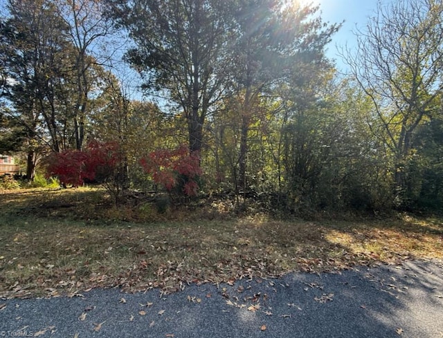 Listing photo 3 for 0 Bayberry Rd, Reidsville NC 27320