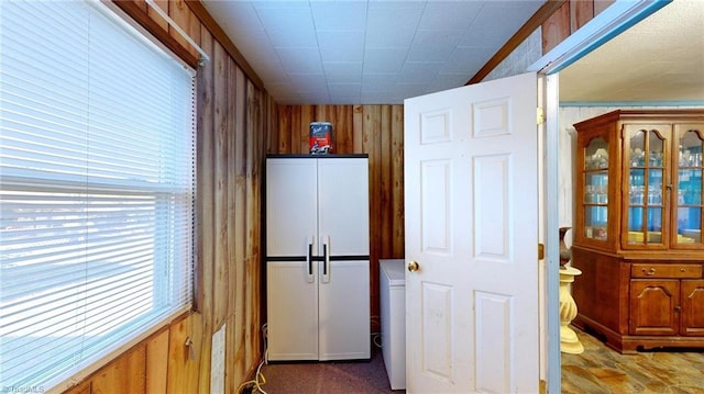 interior space with wooden walls