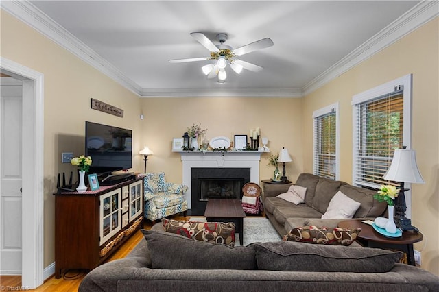 137 Bradford Place Ln, Lewisville, NC 27023 - living room with crown molding, wood finished floors, a ceiling fan, and a fireplace