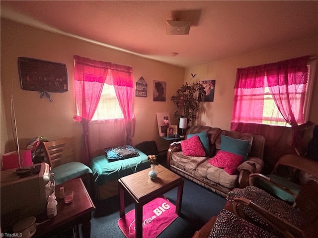 717 Dale St, Greensboro, NC 27406 - carpeted living area with healthy amount of natural light