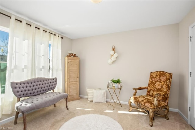 living area with carpet and a wealth of natural light