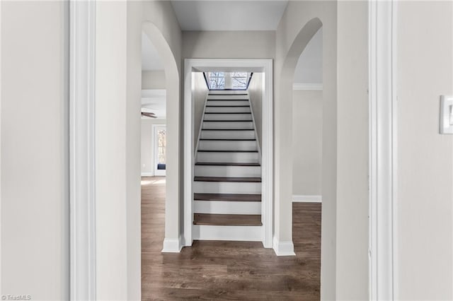 stairway featuring hardwood / wood-style flooring