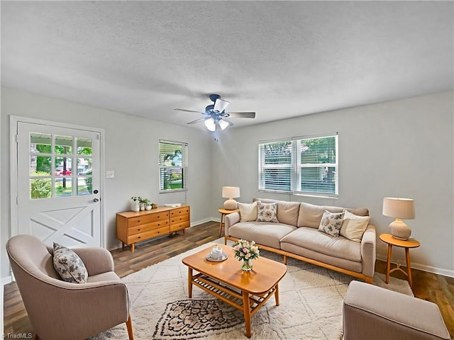 310 Cole St, Thomasville, NC 27360 - living room featuring wood finished floors, ceiling fan, and a textured ceiling