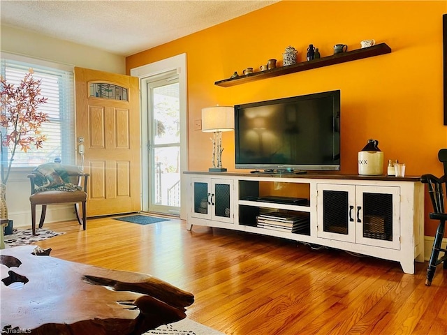 living room with a healthy amount of sunlight, a textured ceiling, and wood finished floors