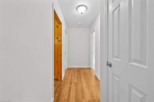465 NC Highway 42 S, Asheboro, NC 27205 - hallway with light wood finished floors and baseboards