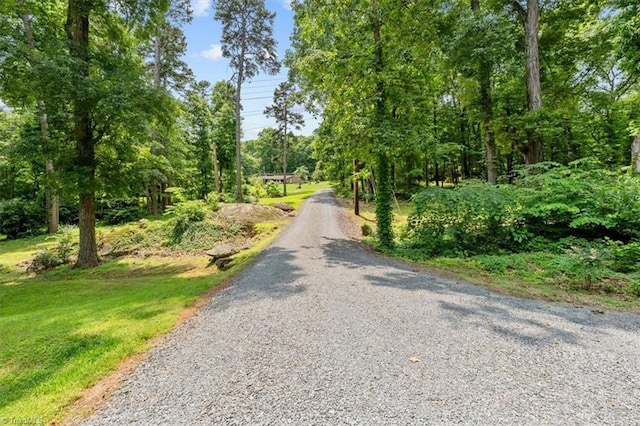 465 NC Highway 42 S, Asheboro, NC 27205 - view of road