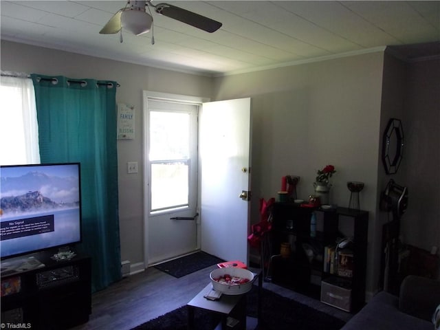 living room with dark hardwood / wood-style floors and ceiling fan