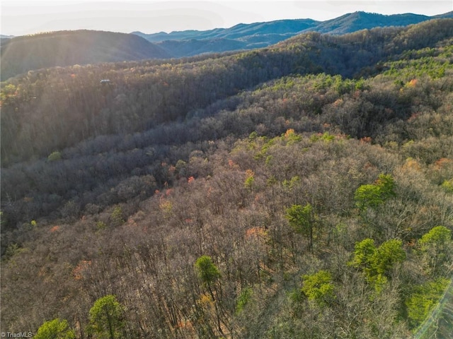 000 Gowings Knob Rd, Mcgrady, NC 28649