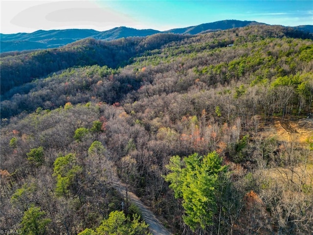 000 Gowings Knob Rd, Mcgrady, NC 28649