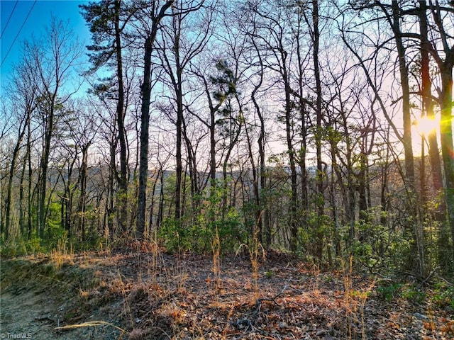 000 Gowings Knob Rd, Mcgrady, NC 28649