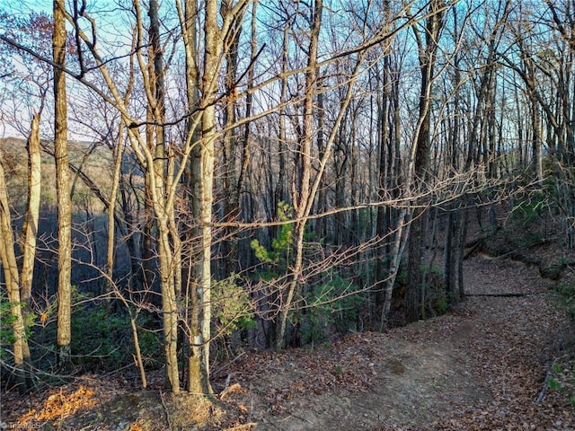 000 Gowings Knob Rd, Mcgrady, NC 28649
