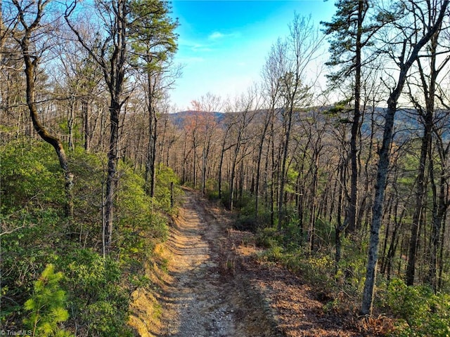 000 Gowings Knob Rd, Mcgrady, NC 28649
