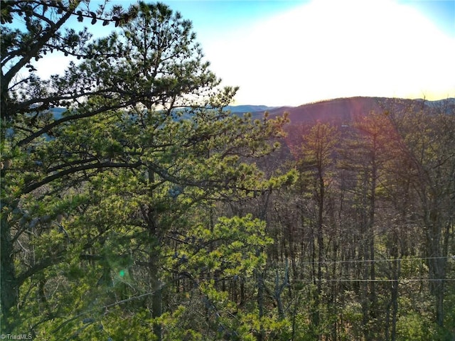 000 Gowings Knob Rd, Mcgrady, NC 28649