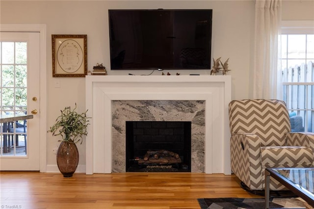 4166 Lytchfield Ct, Winston-Salem, NC 27104 - detailed view of wood finished floors and a fireplace